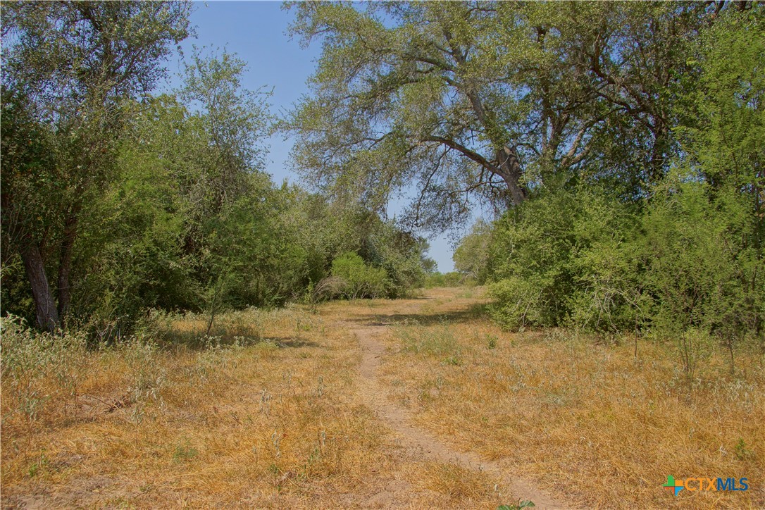 000 Doehrman Lane Property Photo 19