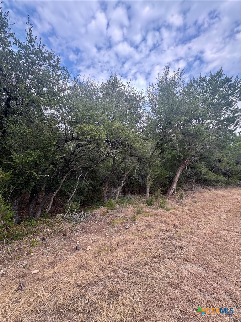 207 Sunset Road Property Photo 1