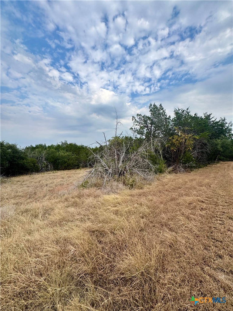207 Sunset Road Property Photo 2