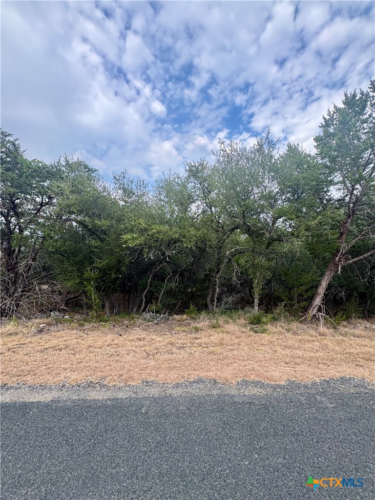 207 Sunset Road Property Photo 4