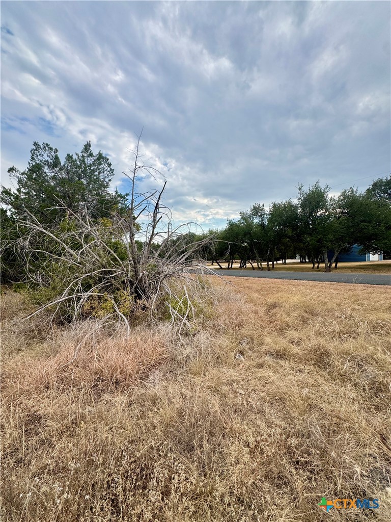 207 Sunset Road Property Photo 5