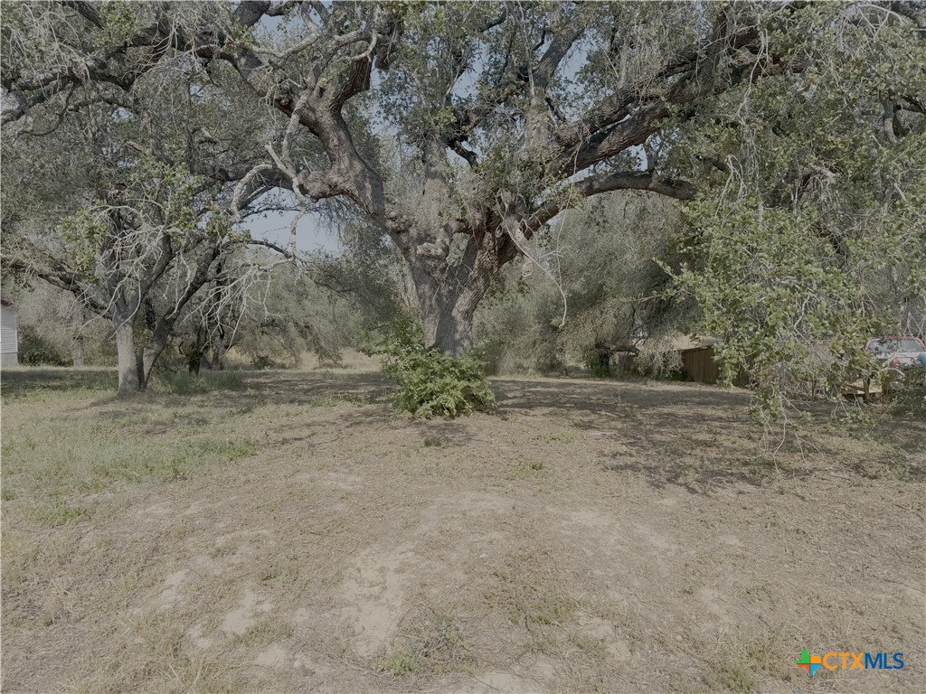 22815 Grand Spring