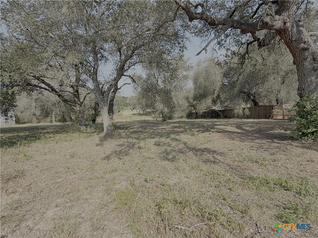 22815 Grand Spring Property Photo 3