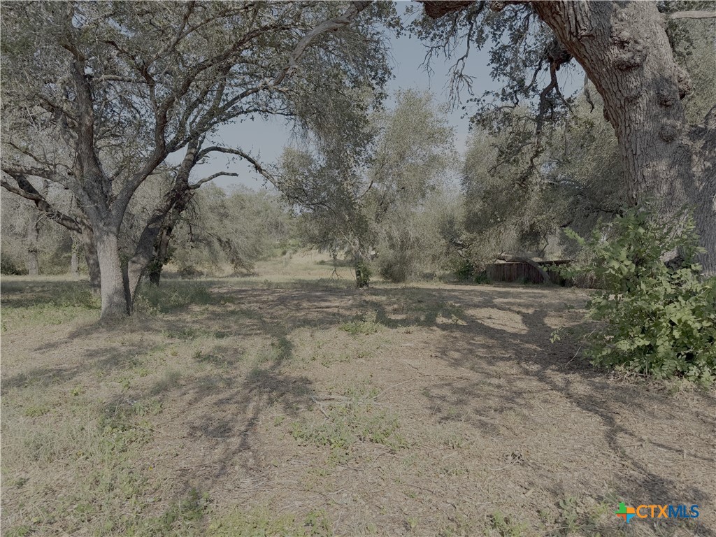 22815 Grand Spring Property Photo 4