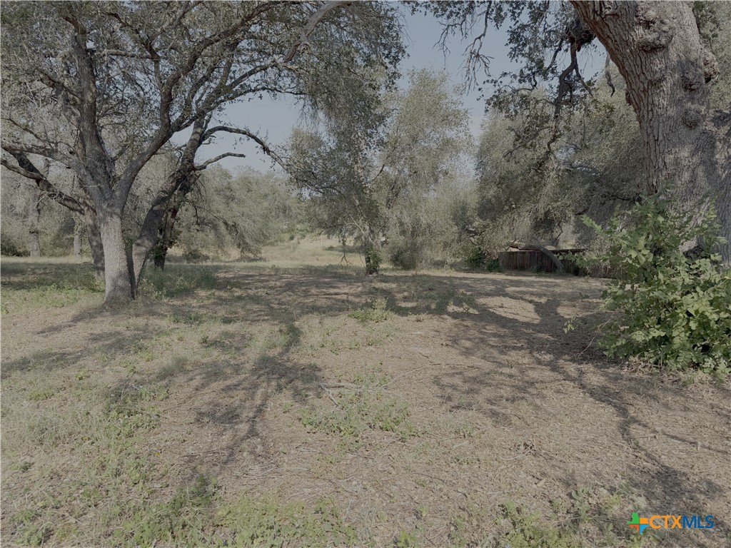 22815 Grand Spring Property Photo 5