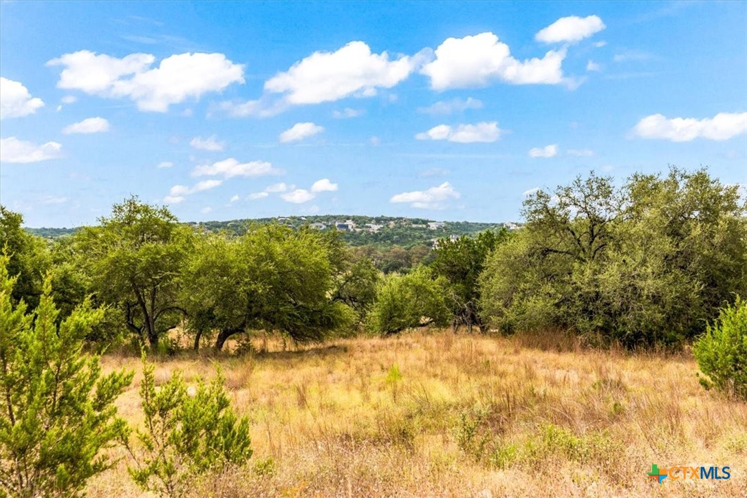 154 Double Tree Lane Property Photo 40