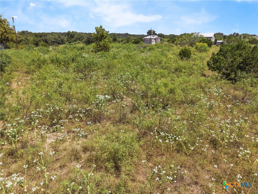 1155 Enchanted River Drive Property Photo 17