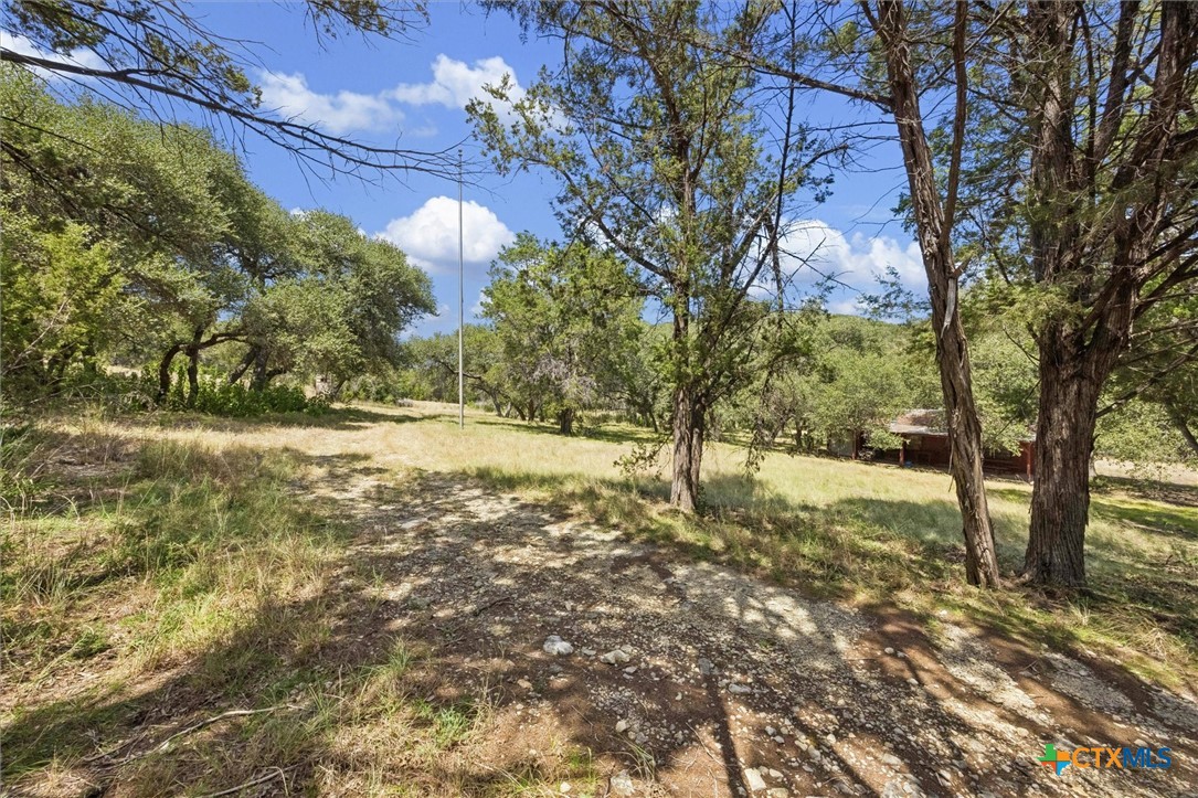 1920 The Low Road Property Photo 6