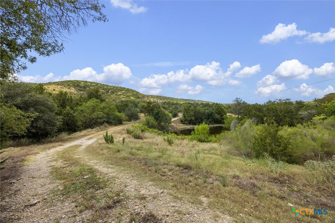 1920 The Low Road Property Photo 16