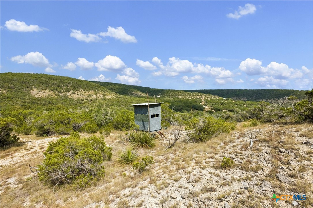1920 The Low Road Property Photo 20