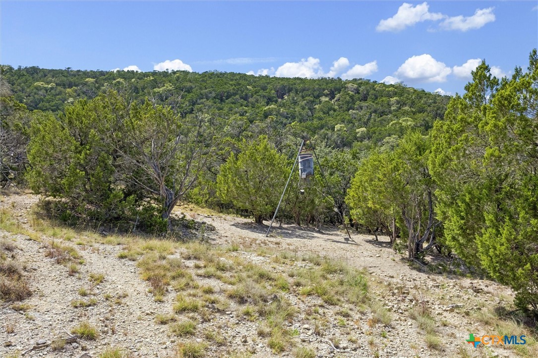 1920 The Low Road Property Photo 22