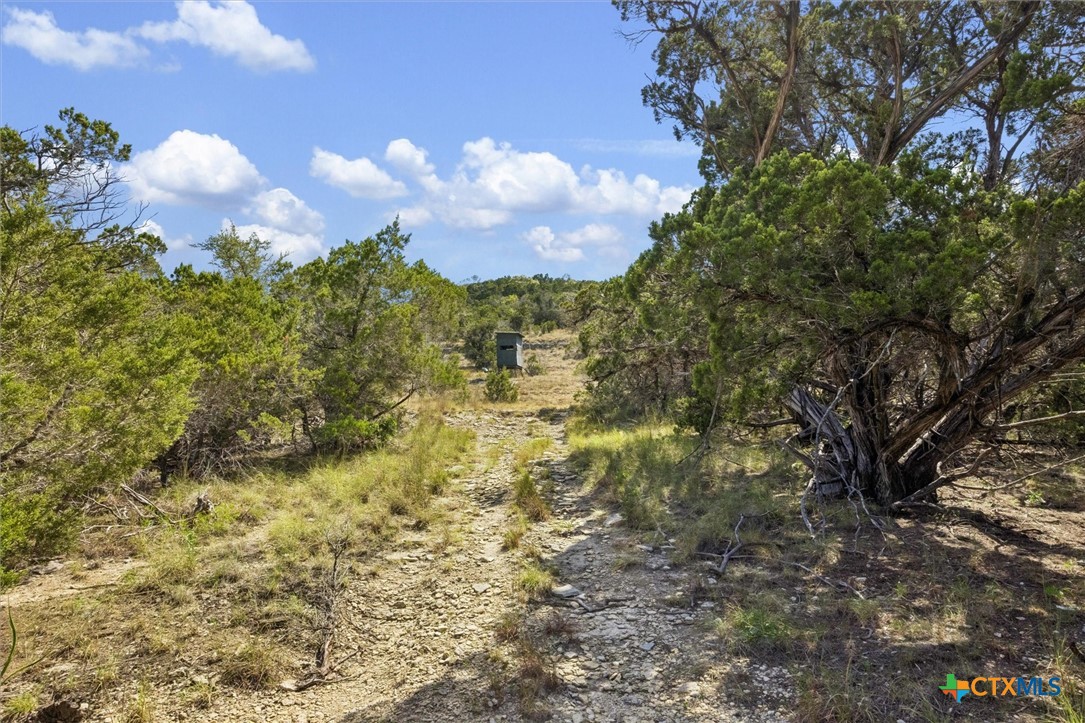1920 The Low Road Property Photo 28