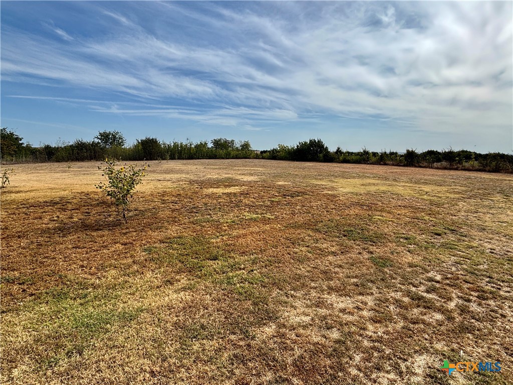 3740 County Road 127 Property Photo 31