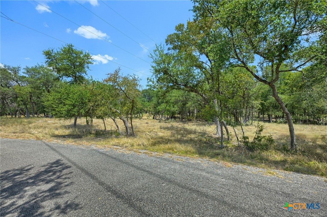 0 Leveritts Loop Property Photo 15