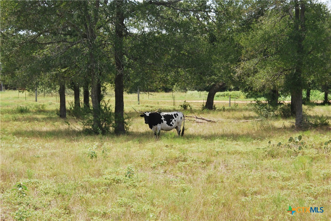 Tbd Lot 24 State Highway 95 Property Photo 8
