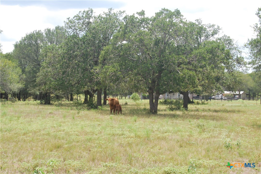 Tbd Lot 24 State Highway 95 Property Photo 13
