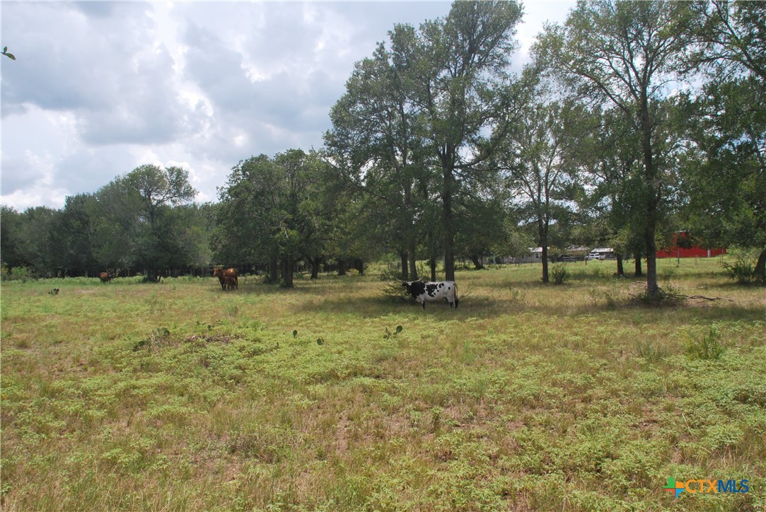 Tbd Lot 24 State Highway 95 Property Photo 14
