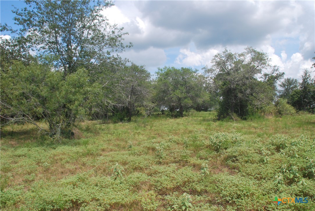 Tbd Lot 24 State Highway 95 Property Photo 18