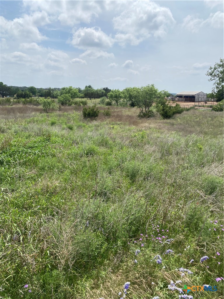 305 County Road 2227 Property Photo 5