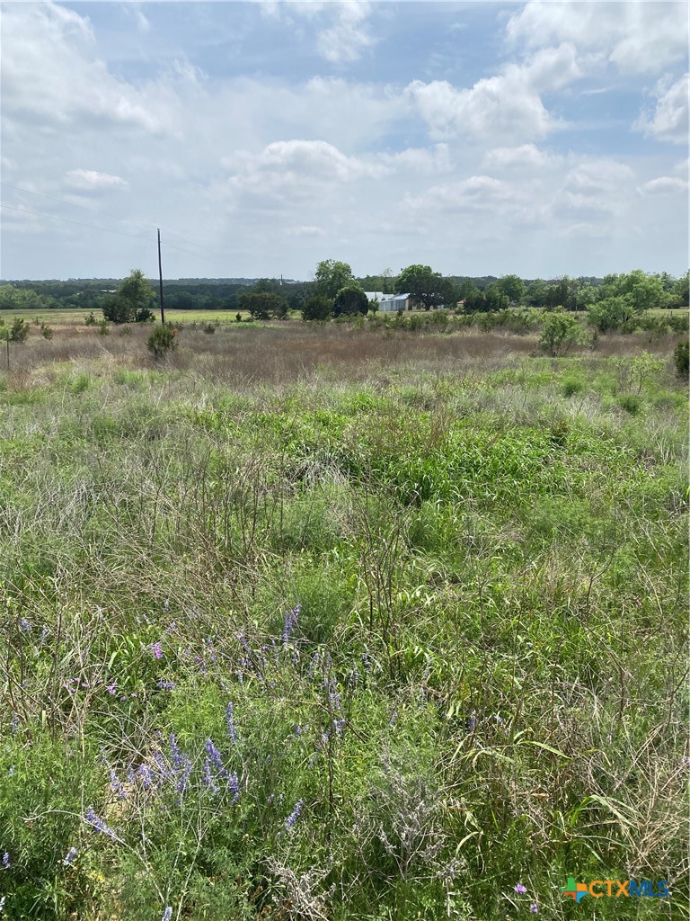 305 County Road 2227 Property Photo 6