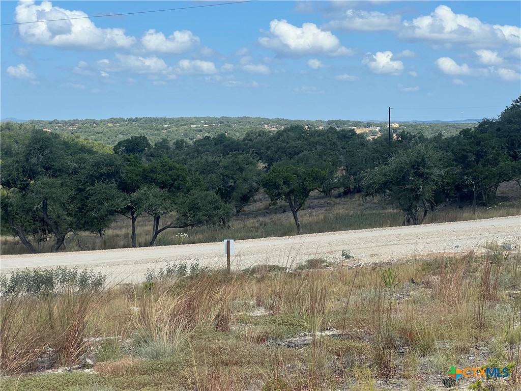 Tbd Vista Overlook Way Property Photo 10