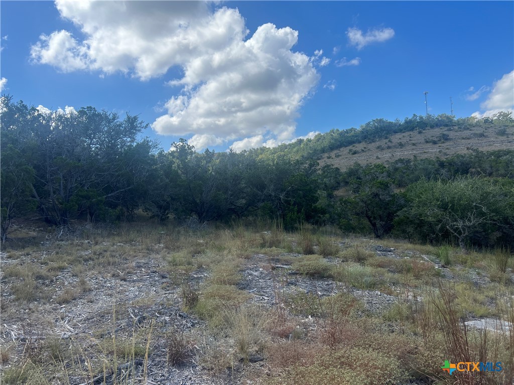 Tbd Vista Overlook Way Property Photo 11
