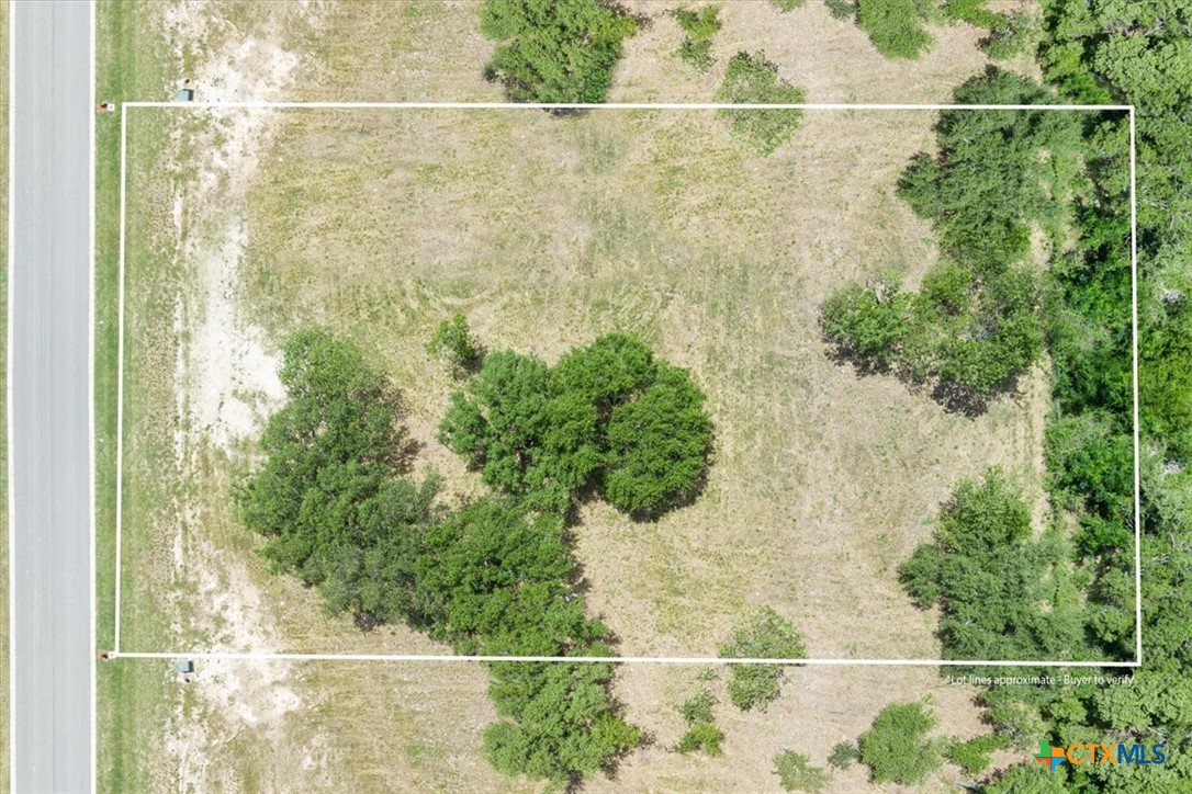 10120 Blanco Springs Road Property Photo 2