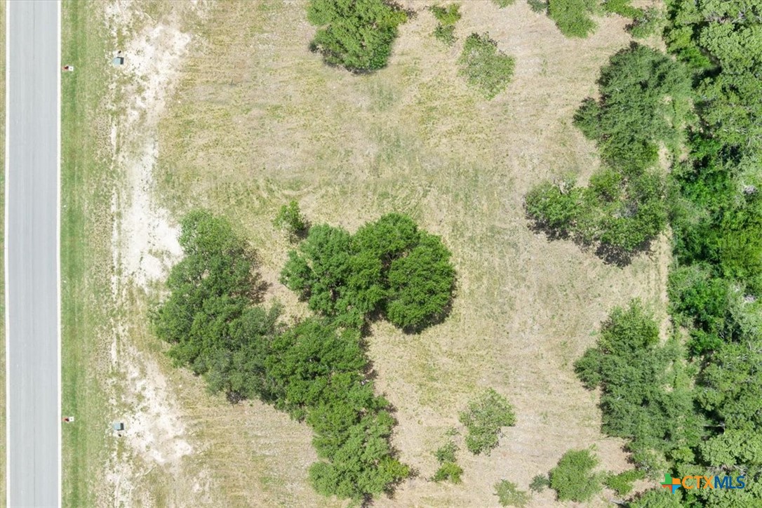 10120 Blanco Springs Road Property Photo 3
