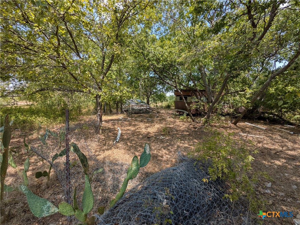 8288 Buckhorn Cemetery Road Property Photo 6