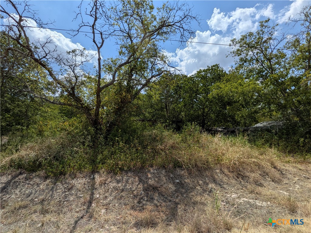 8288 Buckhorn Cemetery Road Property Photo 7