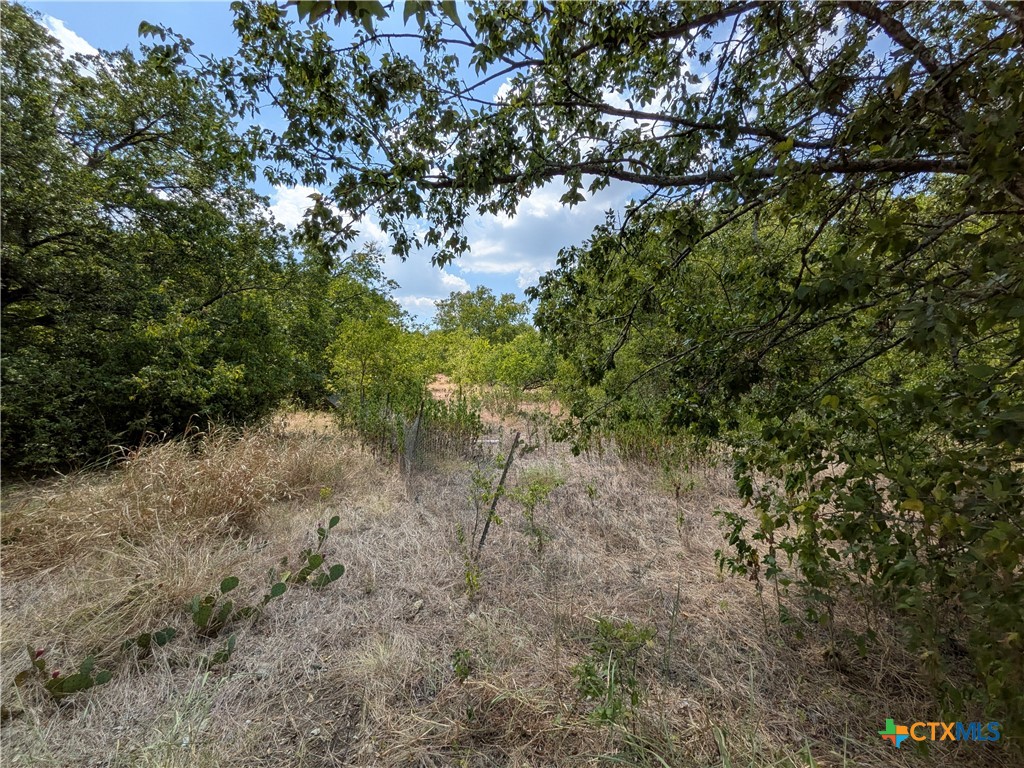 8288 Buckhorn Cemetery Road Property Photo 8