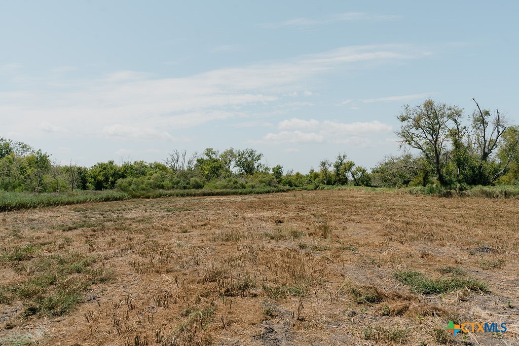 Lot 230 Tract 10 Guadalupe River Road Property Photo 3