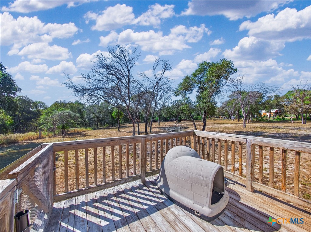 209 Sandy Oaks Drive Property Photo 31