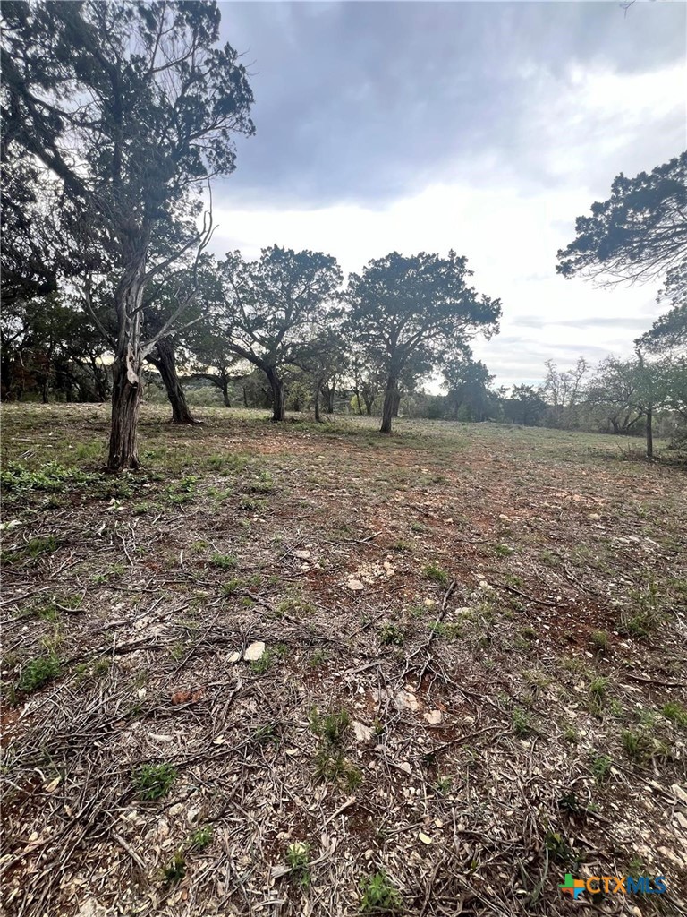 19705 Tyler Trail Property Photo 1