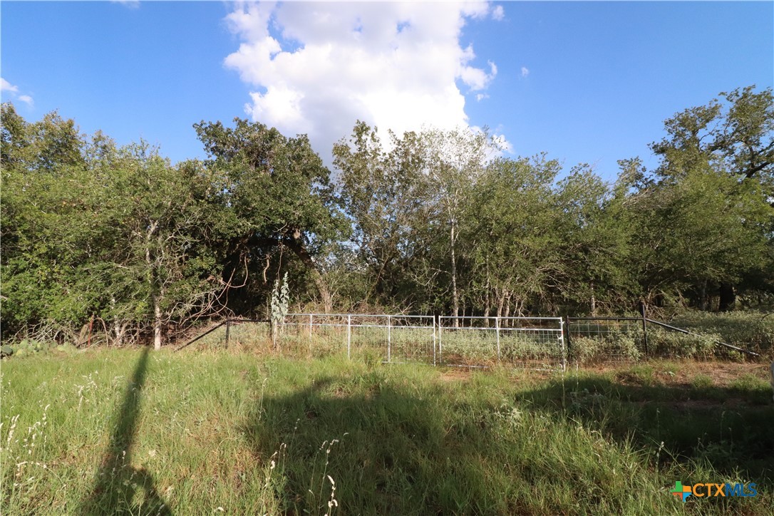 5668 State Highway 97 Property Photo 2