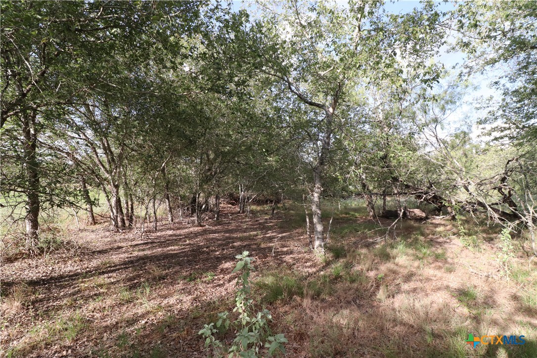 5668 State Highway 97 Property Photo 5