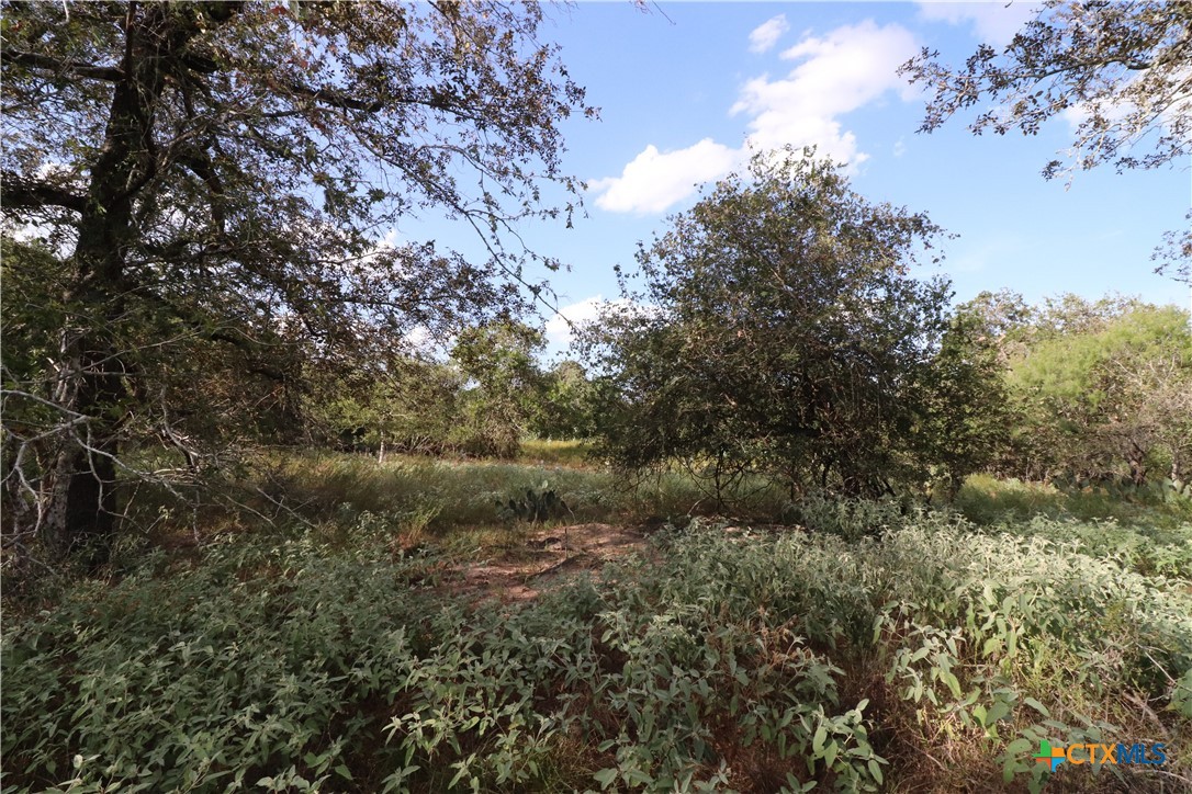 5668 State Highway 97 Property Photo 6
