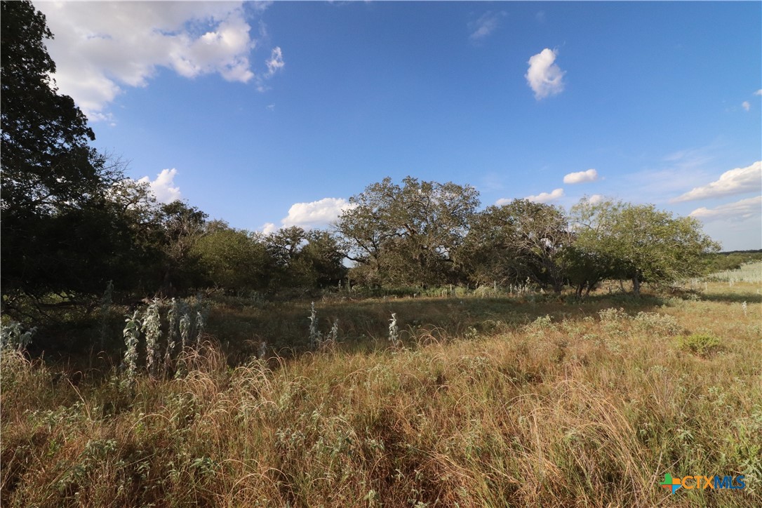 5668 State Highway 97 Property Photo 8