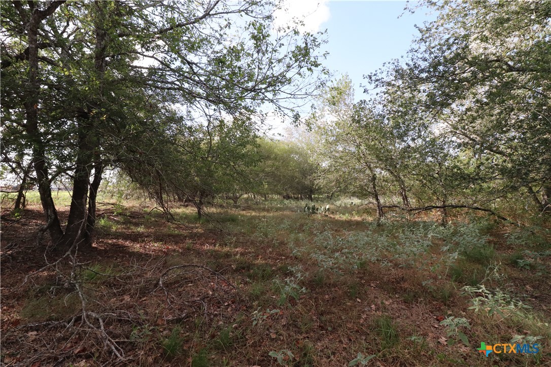 5668 State Highway 97 Property Photo 10