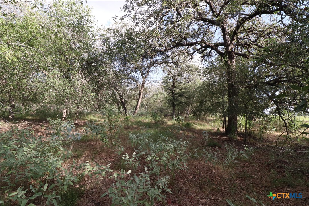 5668 State Highway 97 Property Photo 11