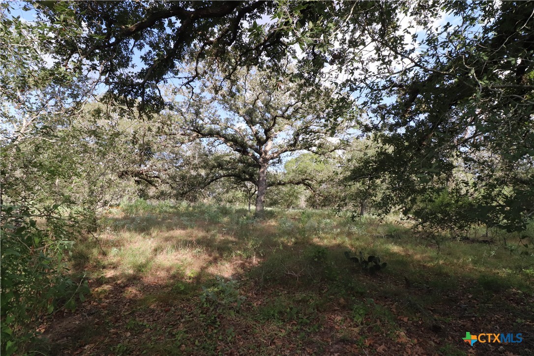 5668 State Highway 97 Property Photo 12