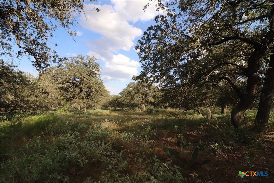5668 State Highway 97 Property Photo 14