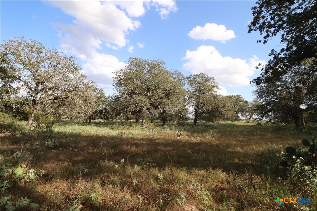 5668 State Highway 97 Property Photo 15