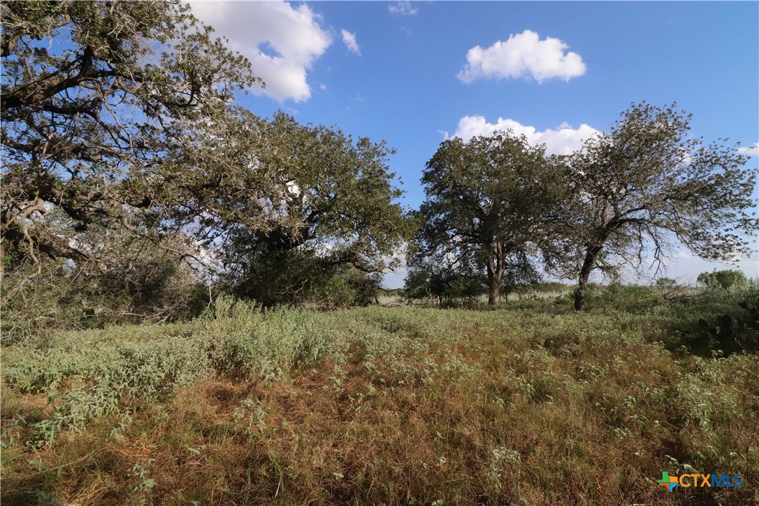 5668 State Highway 97 Property Photo 16