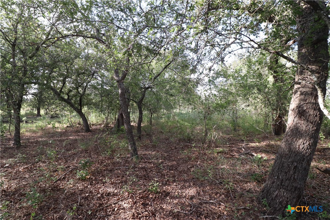 5668 State Highway 97 Property Photo 20