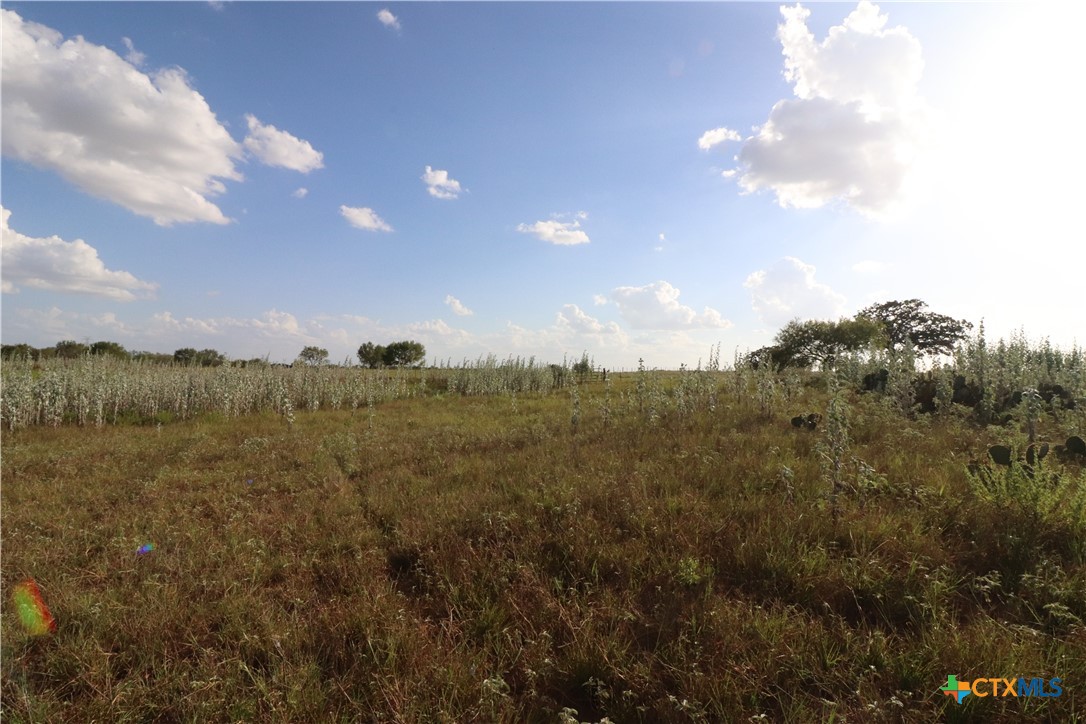 5668 State Highway 97 Property Photo 21
