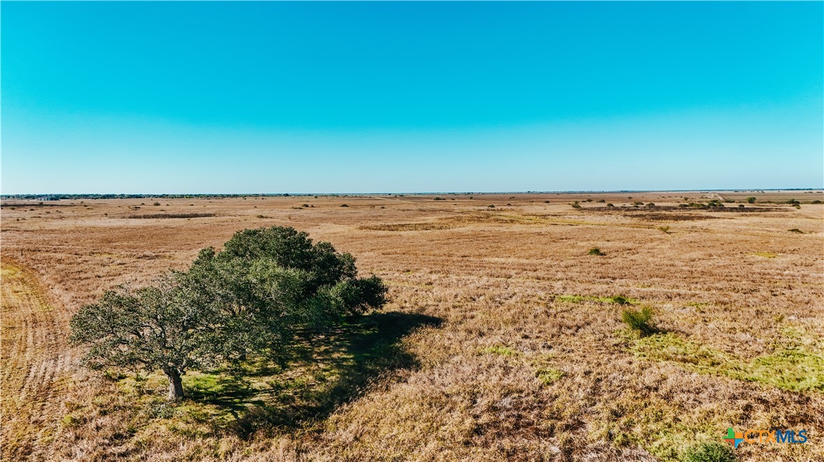 5509 Fm 444 N Property Photo 6