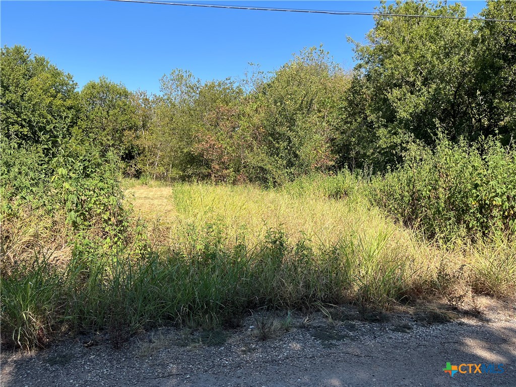 314 N West Front Street Property Photo 6