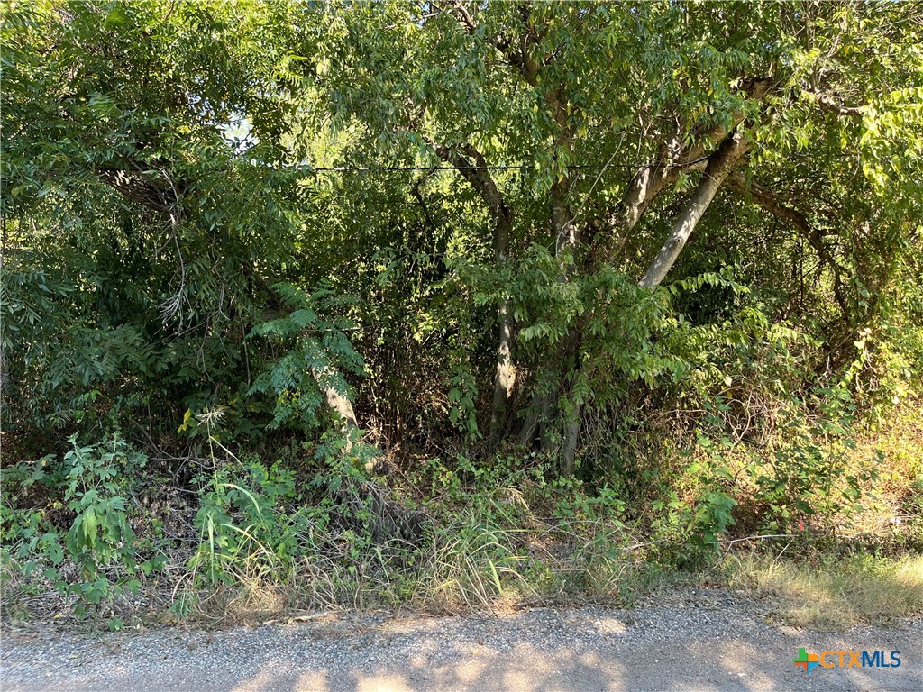 314 N West Front Street Property Photo 7