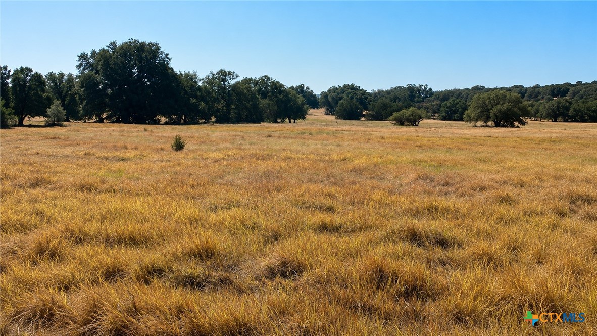 0 County Road 2659 Property Photo 1